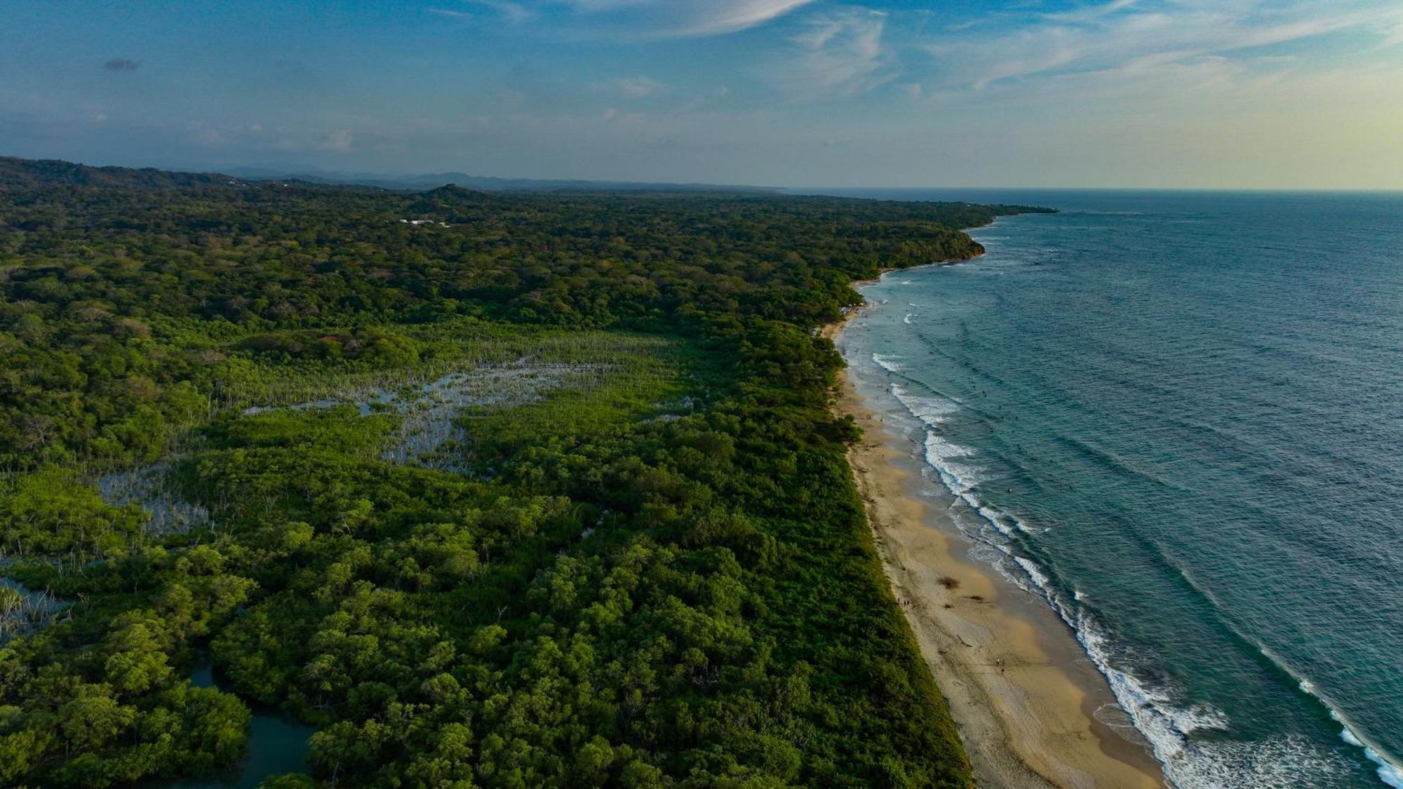 Beach Walk Costa Rica Playa Avellana Exteriör bild
